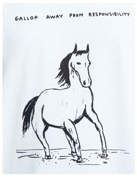 T-shirt No Responsability