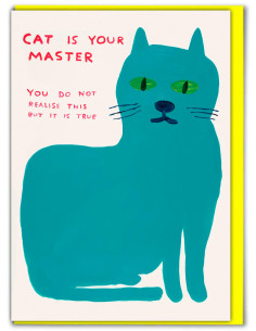 Funny Greetings Card By David Shrigley - Cat Master