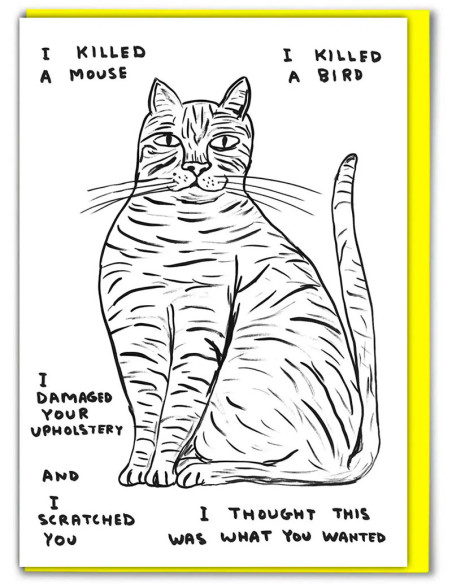 Funny Greetings Card By David Shrigley - I Killed A Mouse