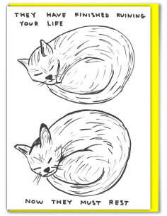 Funny Greetings Card By David Shrigley - Ruining Your Life