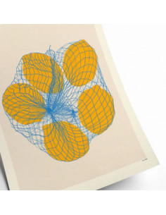 Rosi Feist - Five lemons in a net bag 2