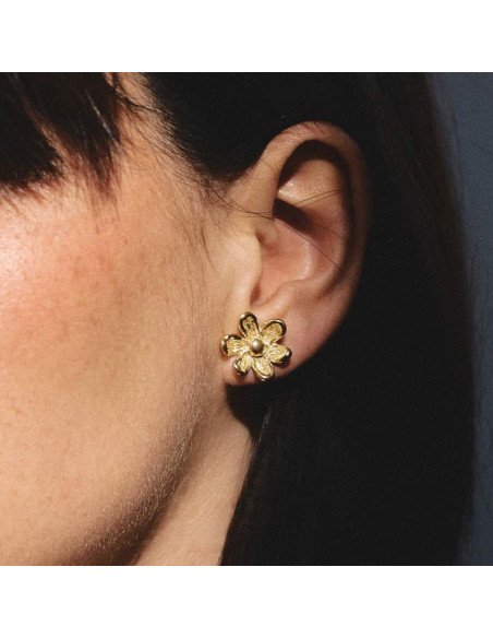 Pendientes Grandes GIARDINO